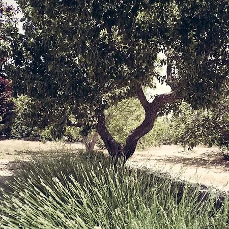 Trullo Cornelia