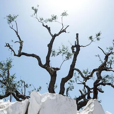 Trullo Cornelia
