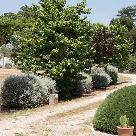 Trullo Cornelia Selva Di Fasano